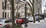 DSC01776_e.JPG.small.jpeg