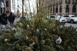 DSC01778.JPG.small.jpeg