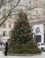 DSC01783_e.JPG.small.jpeg