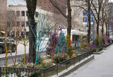 DSC01787_e.JPG.small.jpeg