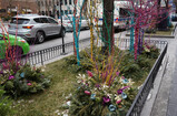 DSC01789_e.JPG.small.jpeg