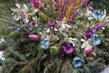 DSC01790.JPG.small.jpeg