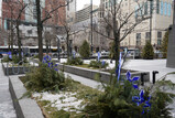 DSC01795_e.JPG.small.jpeg