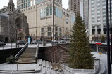 DSC01798.JPG.small.jpeg
