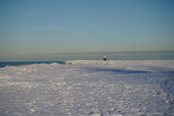 DSC01841.JPG.small.jpeg