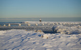 DSC01851_e.JPG.small.jpeg