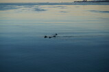 DSC01867.JPG.small.jpeg