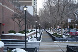 DSC01877.JPG.small.jpeg