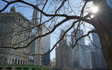 DSC01923_e.JPG.small.jpeg