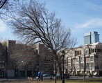 DSC01935_e.JPG.small.jpeg