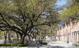 DSC01960_e.JPG.small.jpeg