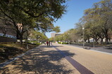 DSC01963.JPG.small.jpeg