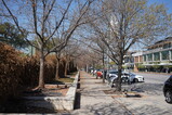 DSC02015.JPG.small.jpeg