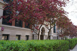 DSC02028_e.JPG.small.jpeg