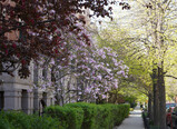 DSC02031_e.JPG.small.jpeg