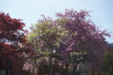 DSC02032.JPG.small.jpeg