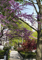 DSC02041_e.JPG.small.jpeg