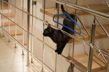 DSC02361.JPG.small.jpeg