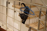 DSC02363.JPG.small.jpeg