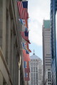 DSC02465.JPG.small.jpeg