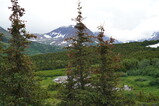 DSC02563.JPG.small.jpeg