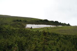 DSC02569.JPG.small.jpeg