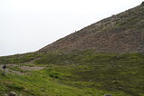 DSC02587.JPG.small.jpeg