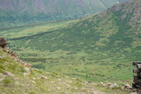 DSC02594.JPG.small.jpeg