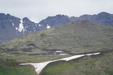 DSC02595.JPG.small.jpeg