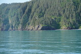 DSC02650.JPG.small.jpeg