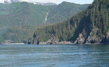 DSC02662_e.JPG.small.jpeg