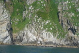 DSC02750.JPG.small.jpeg