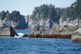 DSC02778.JPG.small.jpeg