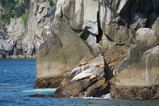 DSC02787.JPG.small.jpeg