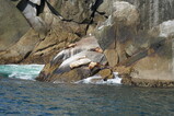 DSC02790.JPG.small.jpeg