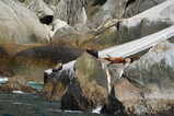 DSC02797.JPG.small.jpeg