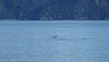 DSC02816_e.JPG.small.jpeg