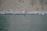 DSC02825.JPG.small.jpeg