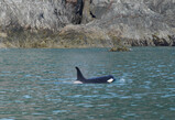 DSC02840_e.JPG.small.jpeg