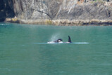 DSC02877_e.JPG.small.jpeg