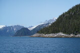 DSC03048.JPG.small.jpeg