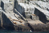 DSC03110.JPG.small.jpeg