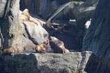 DSC03115.JPG.small.jpeg