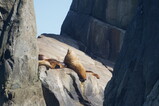 DSC03126.JPG.small.jpeg