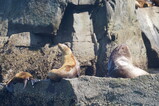 DSC03128.JPG.small.jpeg