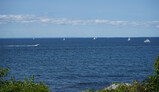 DSC03298_e.JPG.small.jpeg