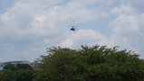 DSC03394_e.JPG.small.jpeg