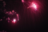 DSC03457.JPG.small.jpeg
