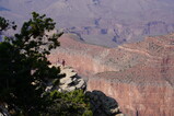 DSC03546.JPG.small.jpeg