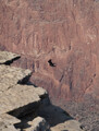 DSC03553_e.JPG.small.jpeg
